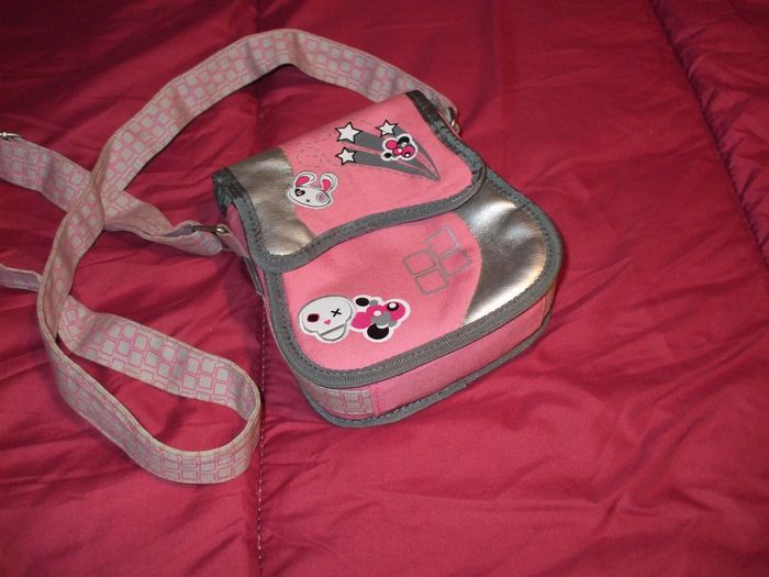 Petite pochette pour DS ou autre TBEG - photo numéro 1