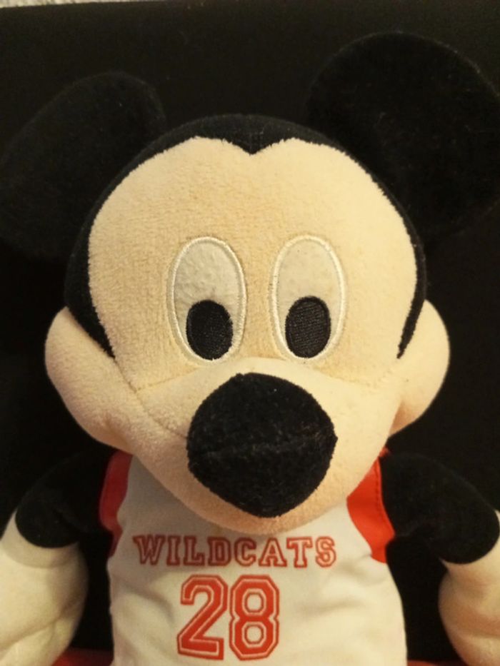 Mickey Wildcats 28, high School Musical gift prize - photo numéro 2
