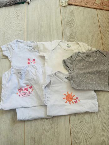 6 bodies courtes manches taille 9mois