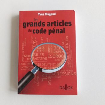 Livre - Les grands articles du code pénal
