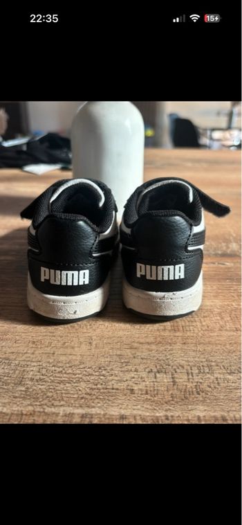 Puma bébé