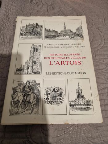 Livre Histoire illustrée des principales villes de l'artois édition du Bastion