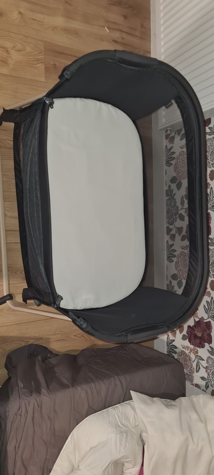 Cododo - photo numéro 3