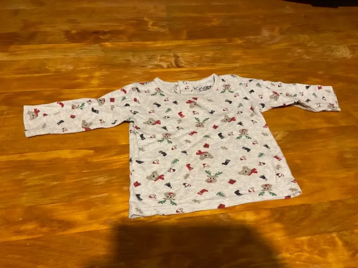 Lot T-shirt longues manches 18mois - photo numéro 2