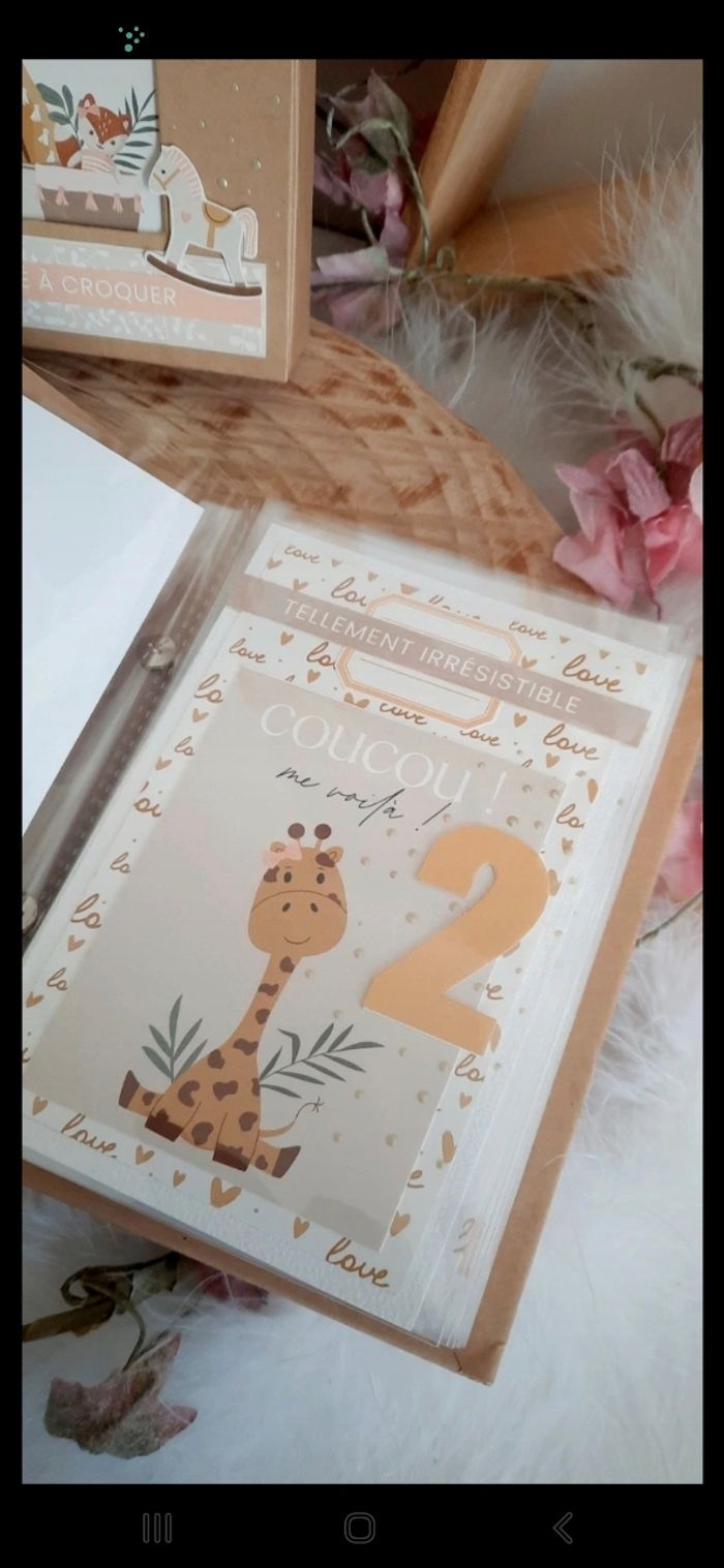 Set cadeau de naissance/cartes étapes - photo numéro 5