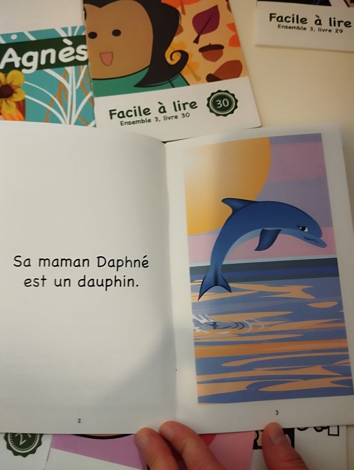 Collection livre facile à lire - photo numéro 3