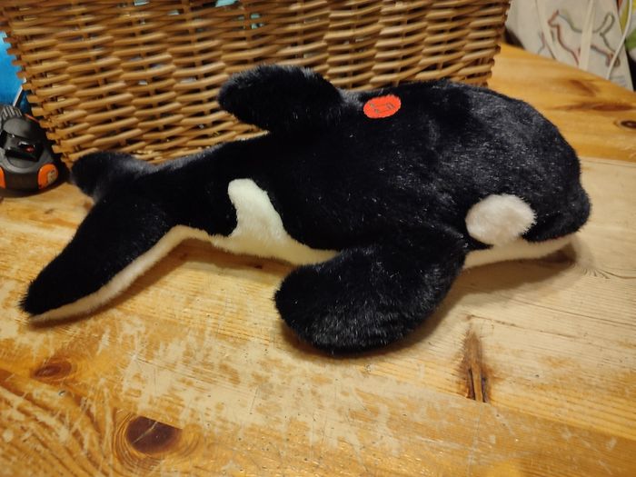 Orque - photo numéro 2