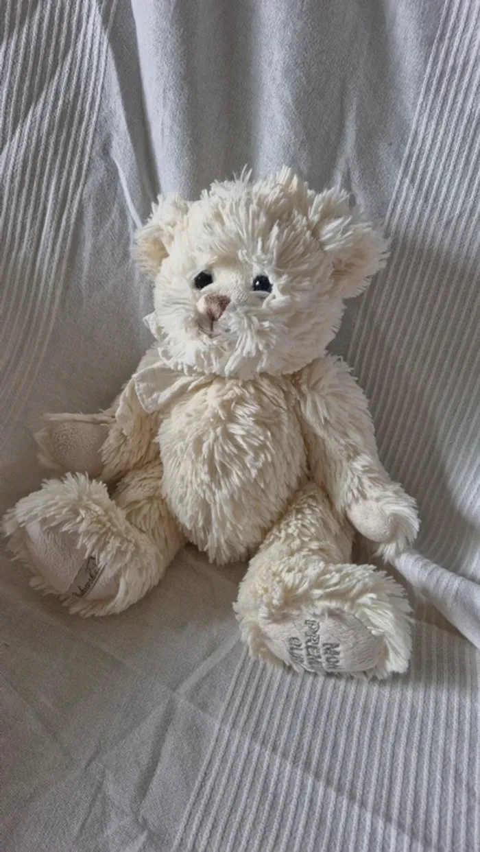 Ourson crème bukowski