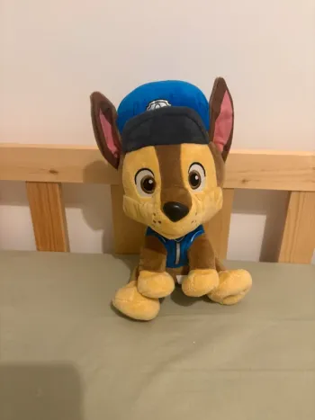 peluche chases