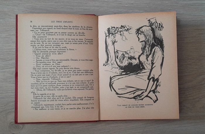 Les trois enfants (quatrevingt-treize) par Victor Hugo - photo numéro 6