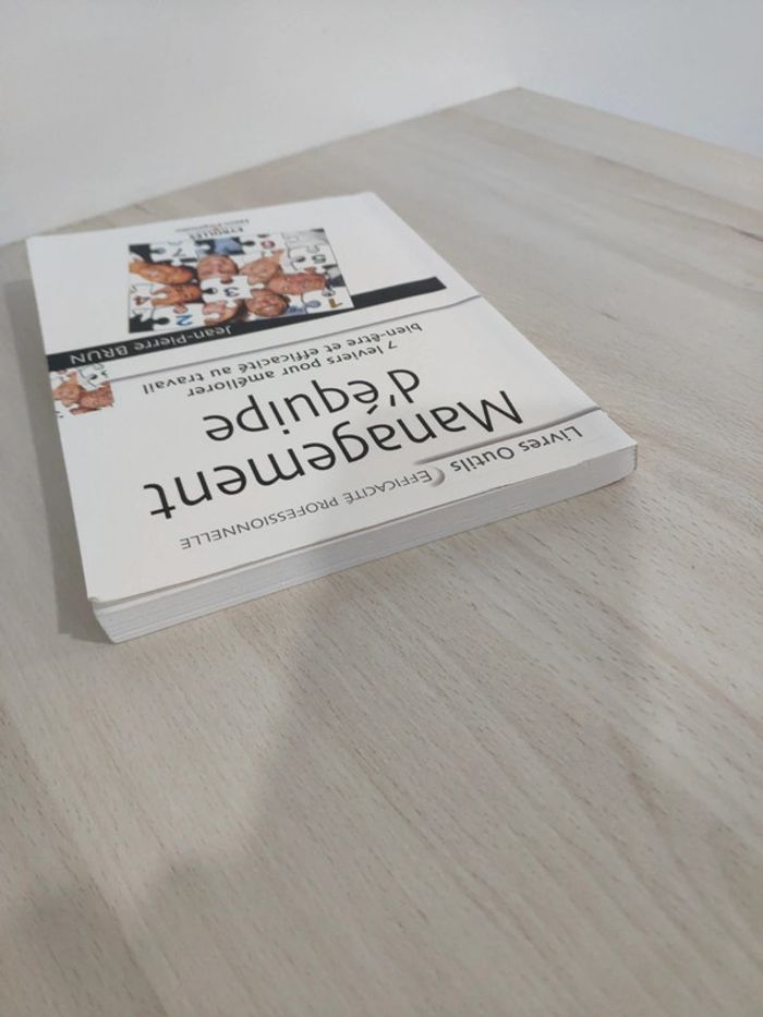 Livre management équipe 7 leviers améliorer bien être efficacité professionnelle Brun - photo numéro 4