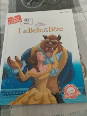 Livre la belle et la bête