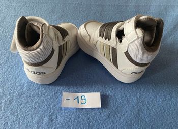 Basket montantes Adidas