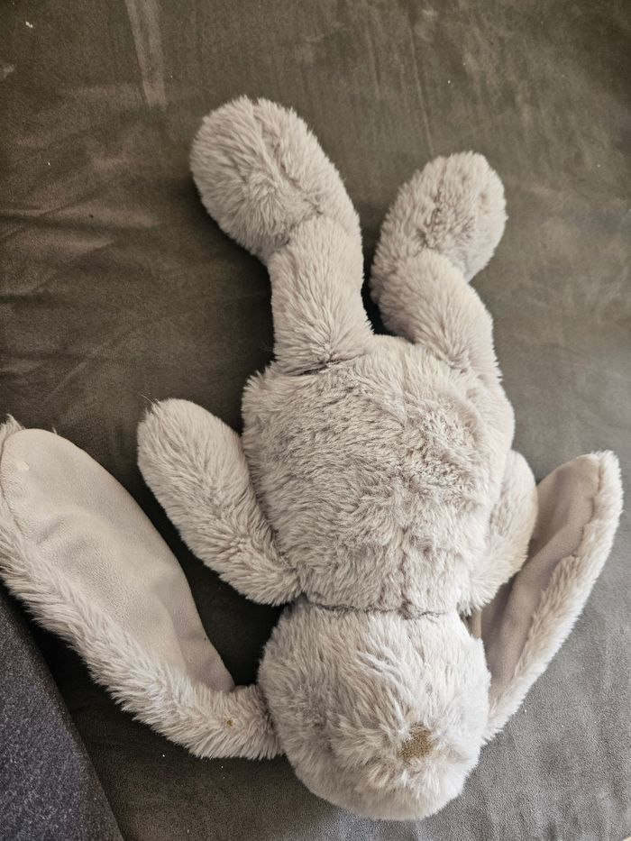Lapin