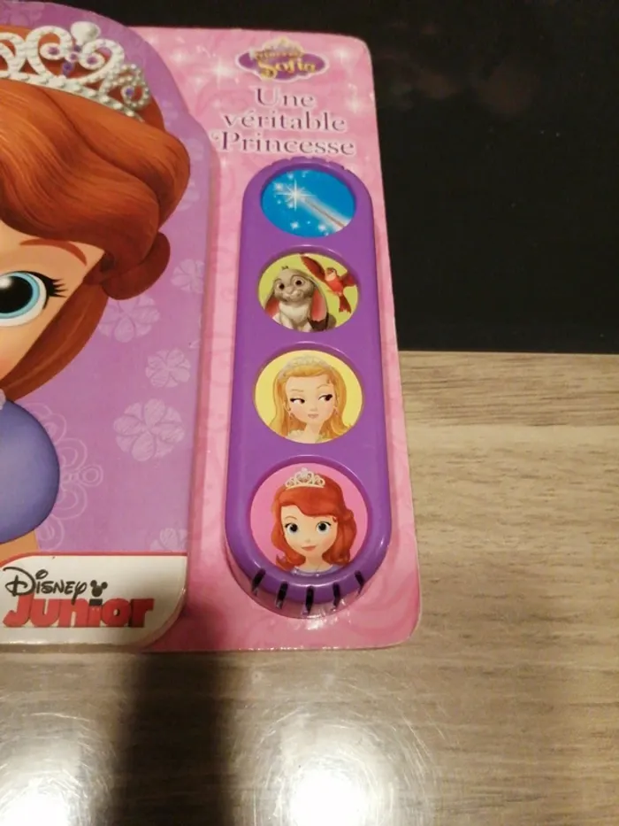 Une véritable princesse - photo numéro 2