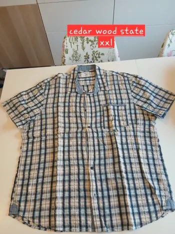 Chemise