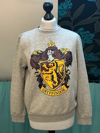 Pull Harry Potter 36 gryffondor