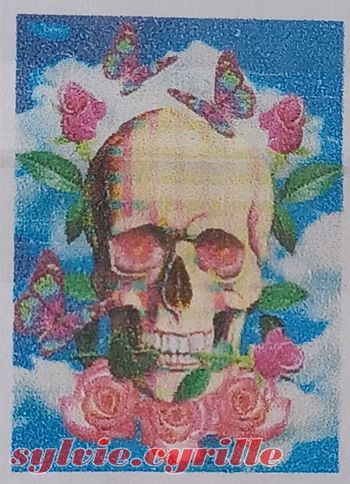 Diamond Painting 40×50 crâne roses papillon rond