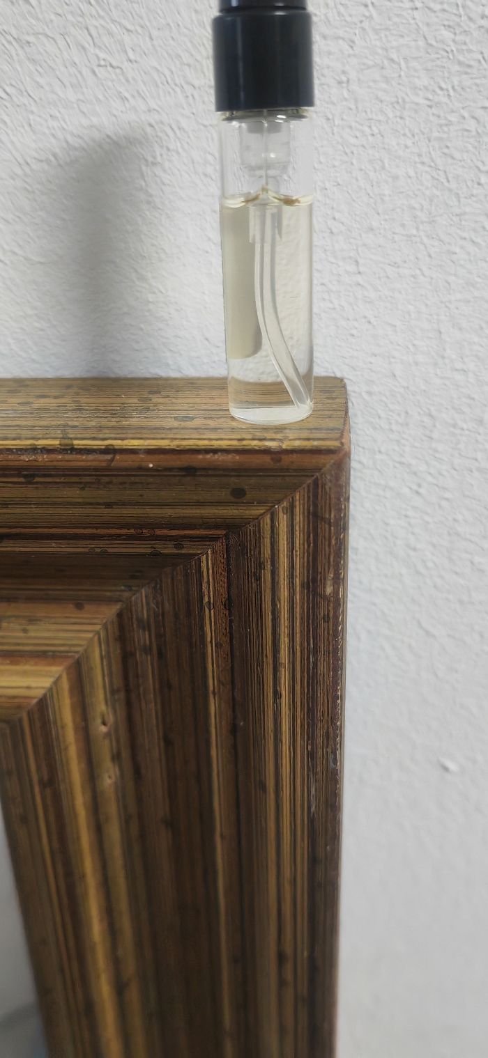 Unika oud osmanthus - photo numéro 2