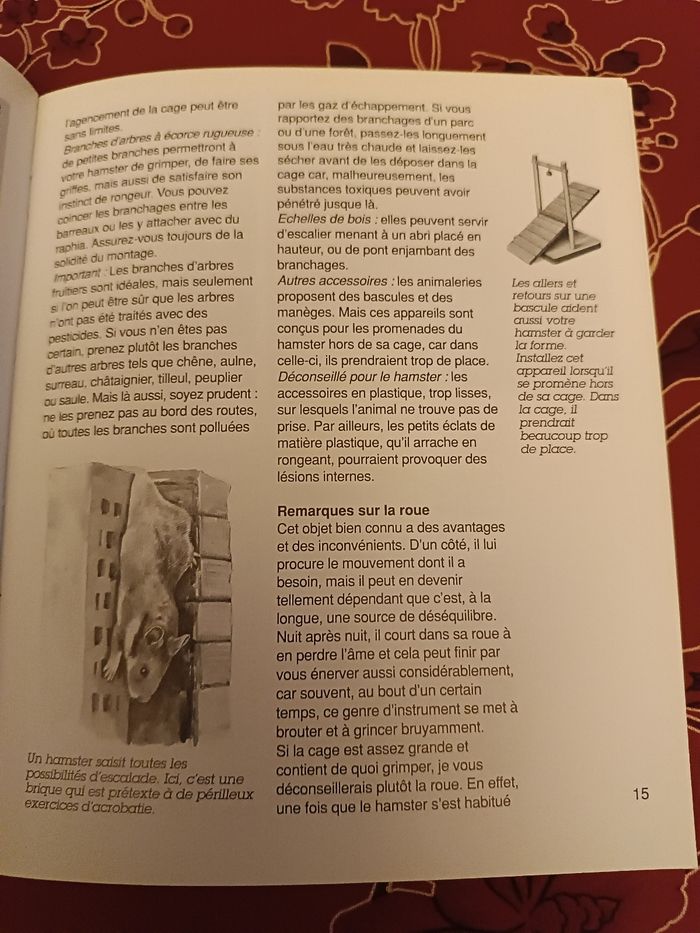 Hamster mode de vie - photo numéro 3