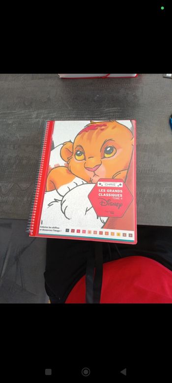 Coloriage mystère tome 4