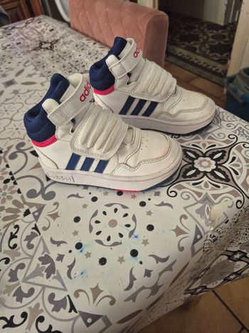 Basket adidas  montante