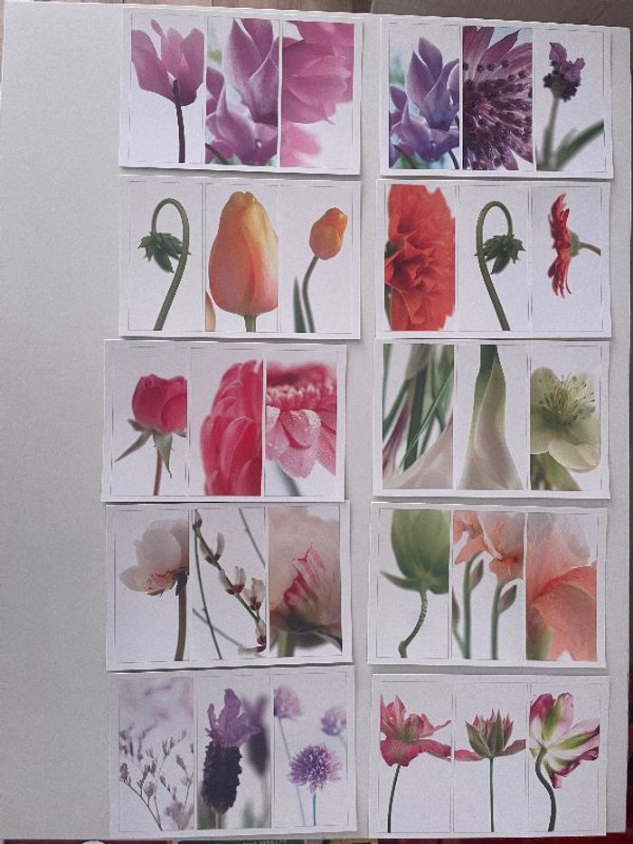2 x 10 cartes de voeux blanches à thème floral
