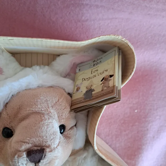 Histoire d'ours - photo numéro 3