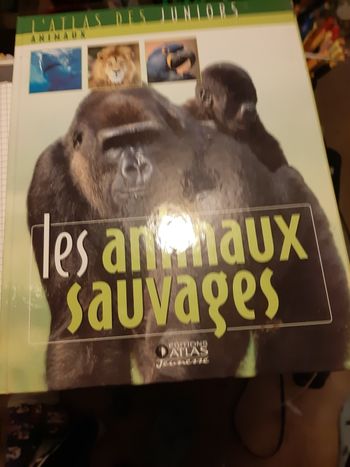Livre enfants animaux