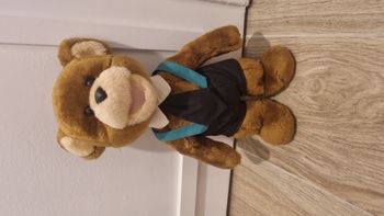 Peluche ours vintage ajena