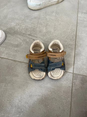 Chaussures Geox