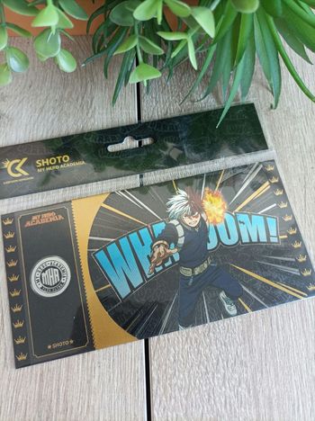 Black ticket Shoto Todoroki My Hero Academia Mha cartoon kingdom