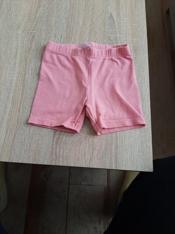 Short rose 23 mois