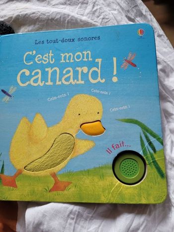C est mon canard
