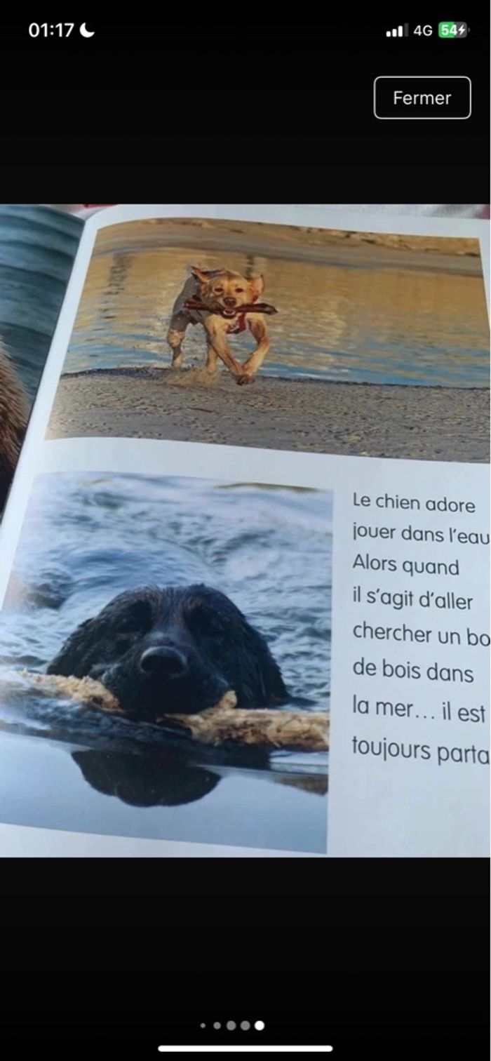Lot livres pour enfants sur les animaux - photo numéro 2