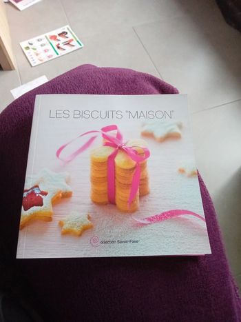 Livre biscuit maison neuf