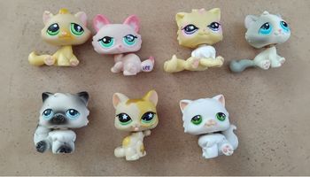 Lot chats Petshop 