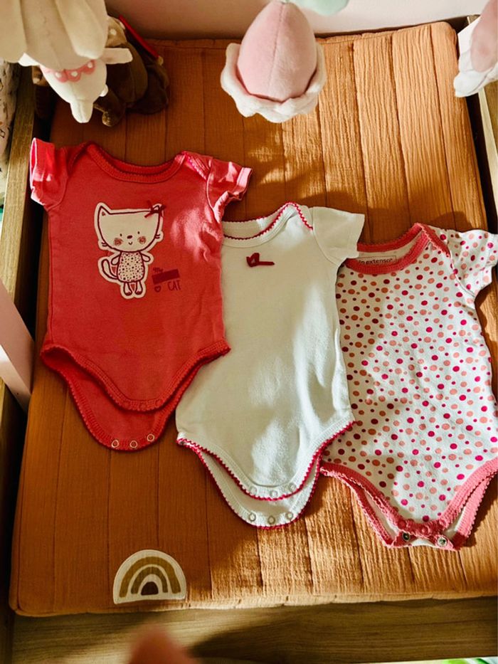 Lot 3 bodies in extenso