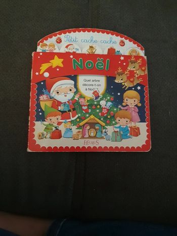 Livre sur Noël