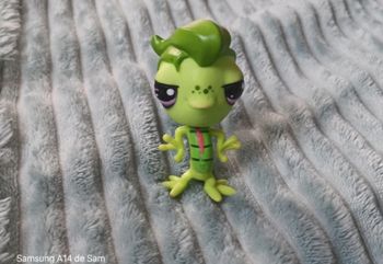 Petshop iguane 2696