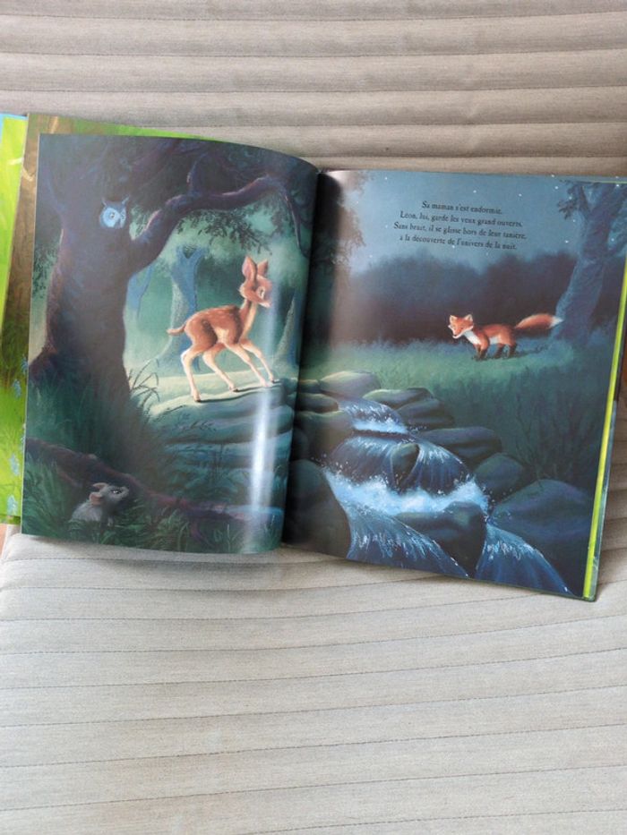 Livre enfant Léon le faon - photo numéro 3