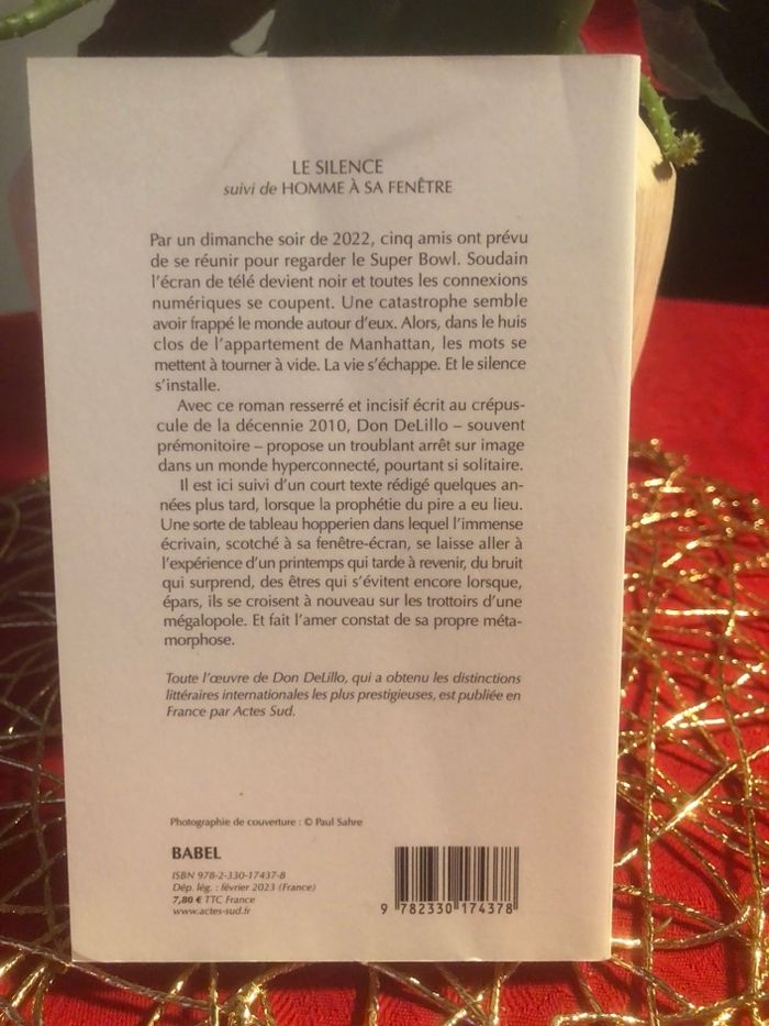 Le silence - Don DeLillo - photo numéro 2