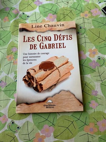 Les cinq défis de Gabriel