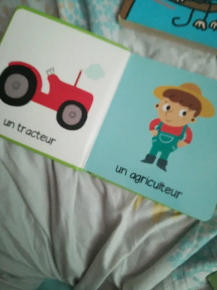 Lot de 8 livres pour bébé - photo numéro 14