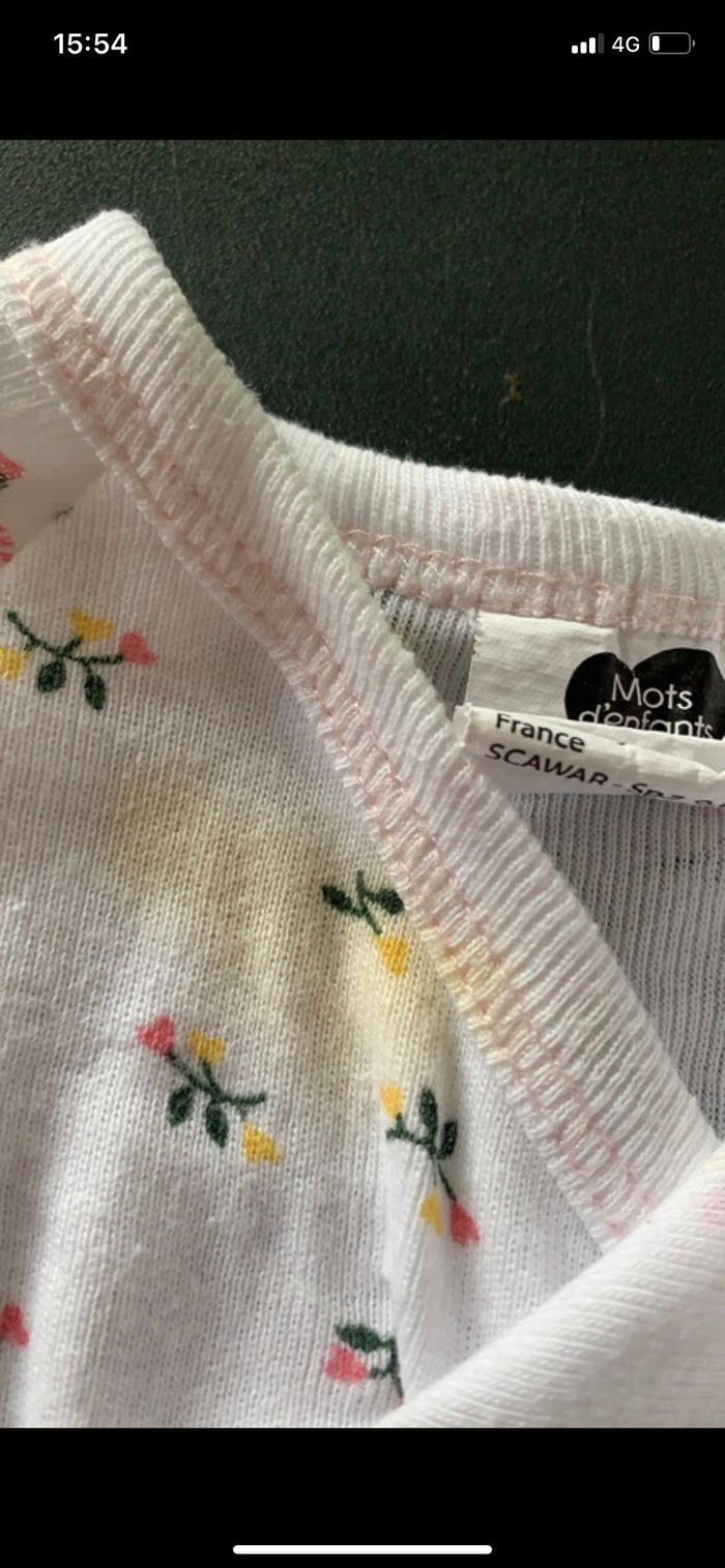 Bodie 3 mois - photo numéro 3