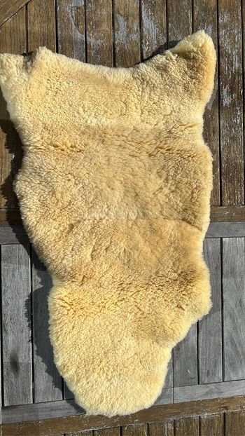 Peau d’agneau naturelle