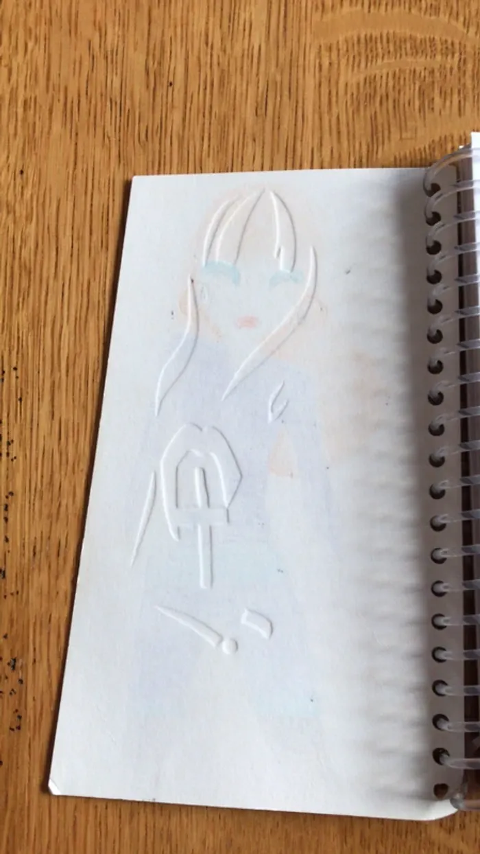 carnet - photo numéro 6