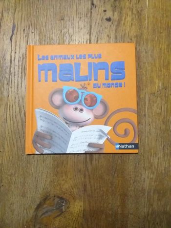 Les animaux les plus malins au monde !