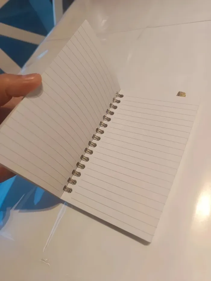 Carnet de notes Stanhome - photo numéro 3