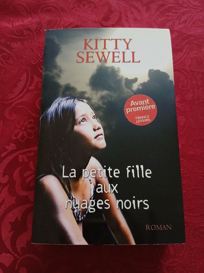 Livre la petite fille aux nuages noirs